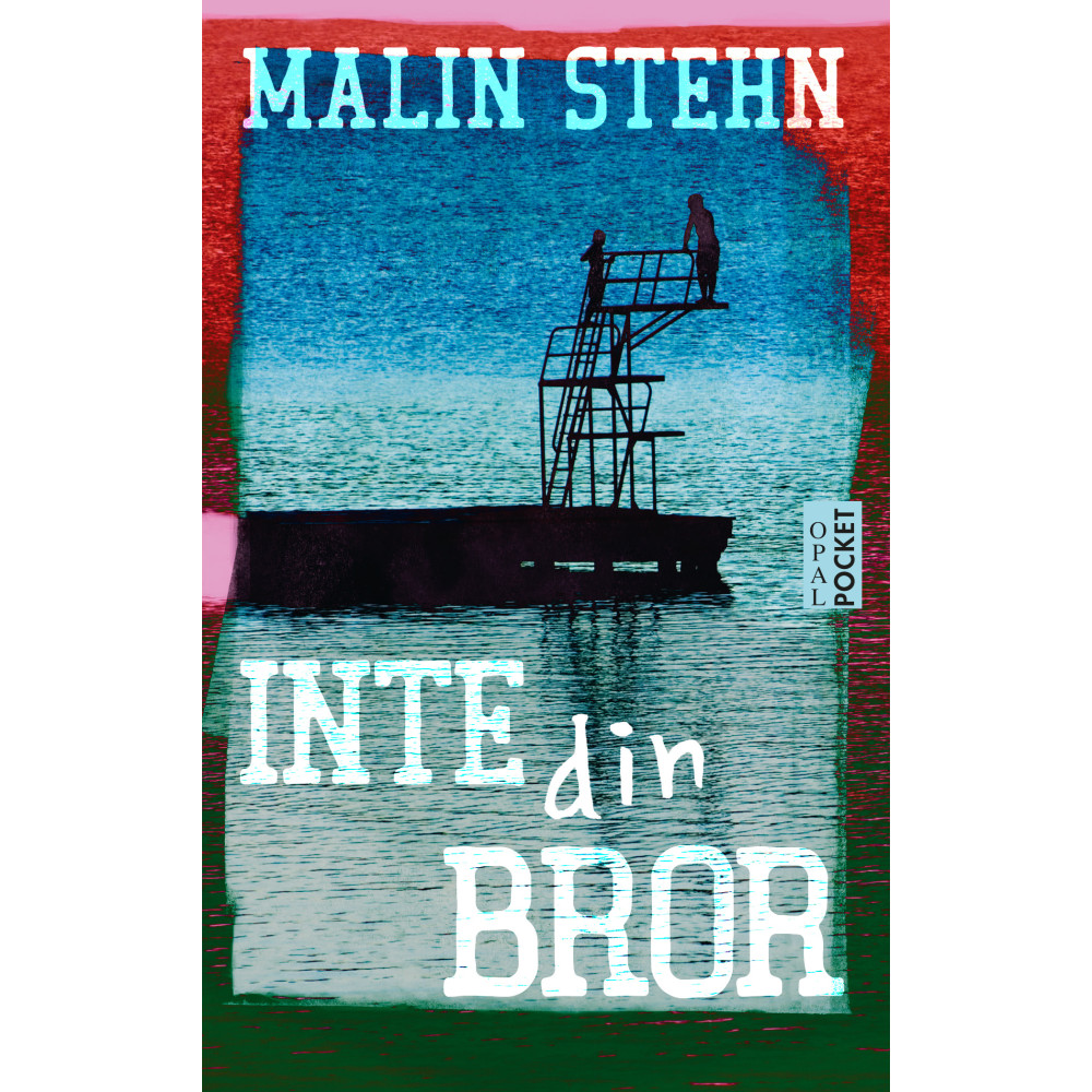 Produktbild för Inte din bror (pocket)