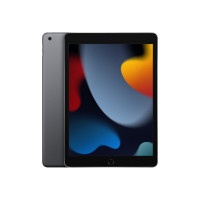 Produktbild för Apple 10.2-inch iPad Wi-Fi - 9:e generation - surfplatta - 256 GB - 10.2"
