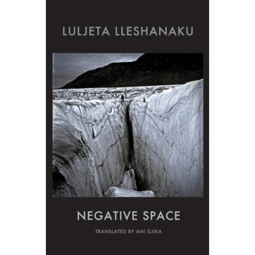 Bloodaxe Books Ltd Negative Space (häftad, eng)