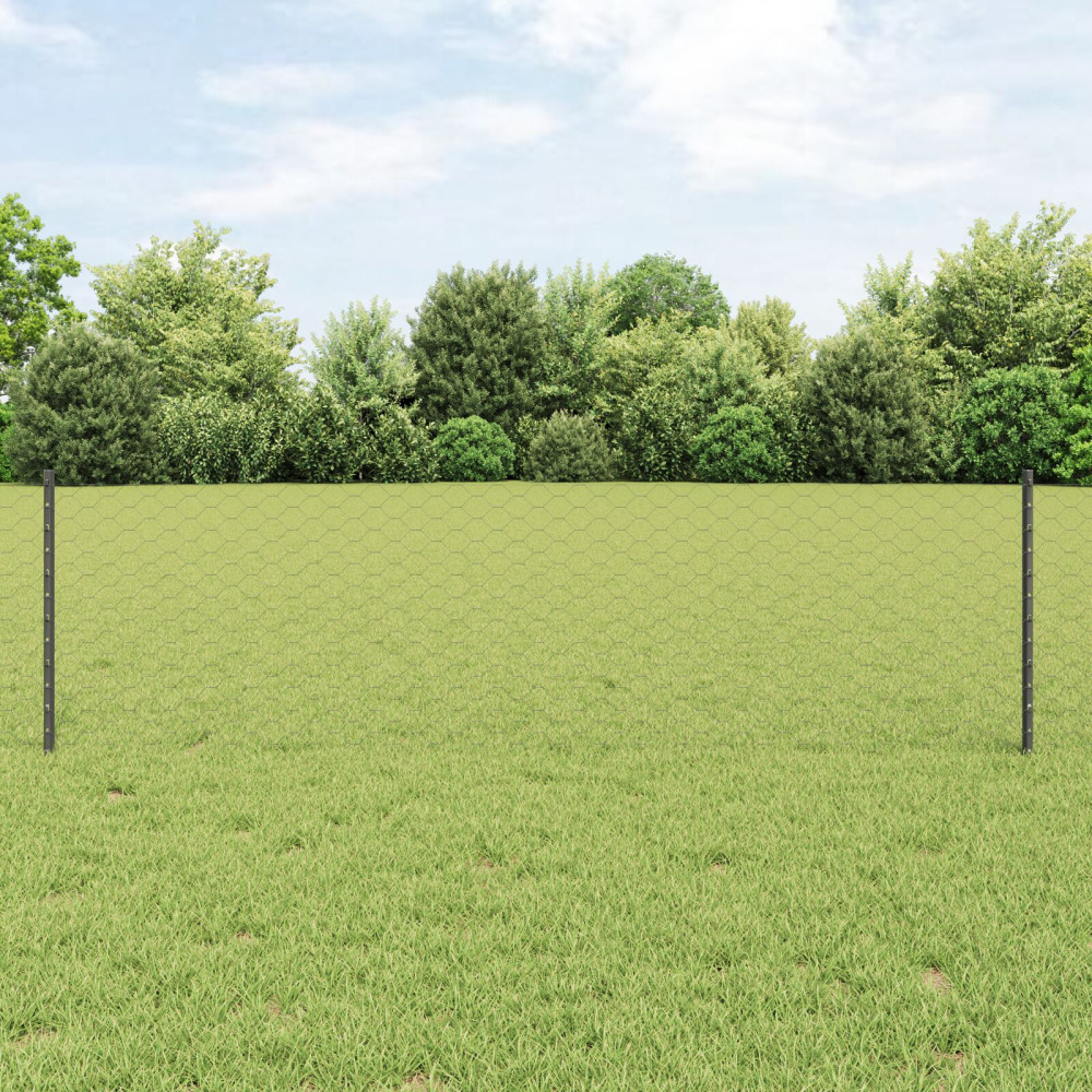 Produktbild för Sexkantigt staket med stolpe 50 x 0,6 m PVC-belagda stål Grå