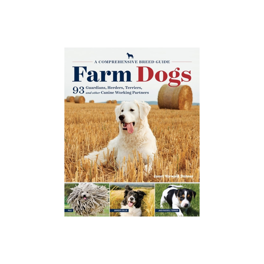 Produktbild för Farm Dogs (häftad, eng)