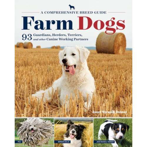 Workman Publishing Farm Dogs (häftad, eng)