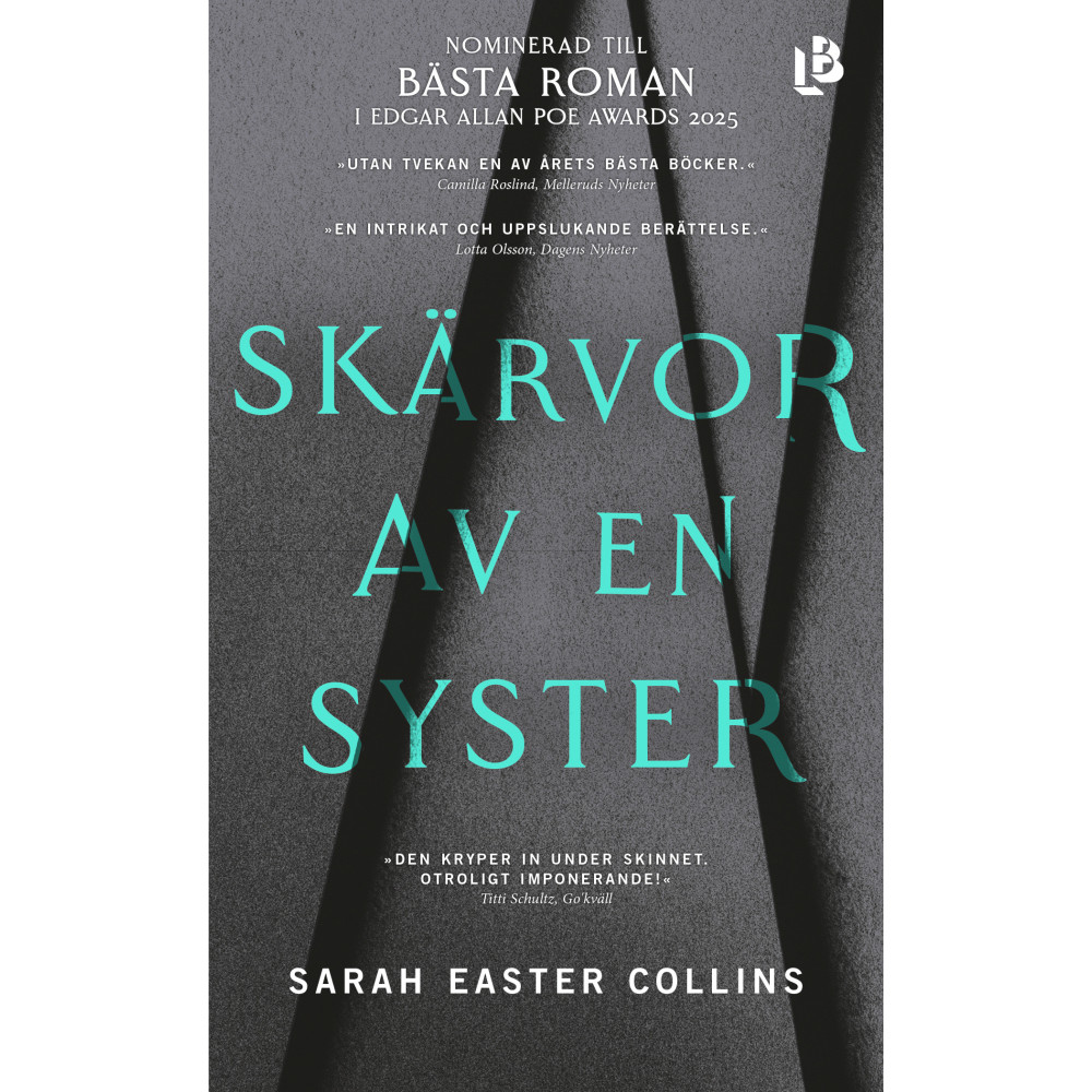 Produktbild för Skärvor av en syster (pocket)
