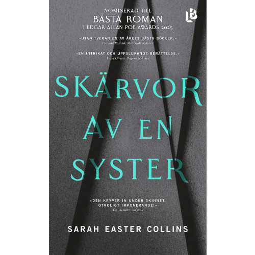 Sarah Easter Collins Skärvor av en syster (pocket)