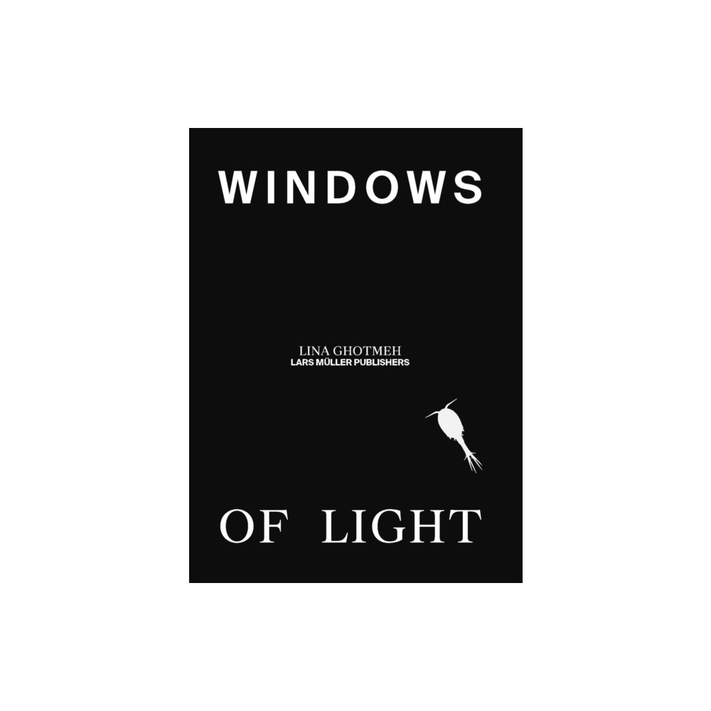 Produktbild för Windows of Light (inbunden, eng)