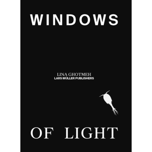 Birkhauser Verlag AG Windows of Light (inbunden, eng)