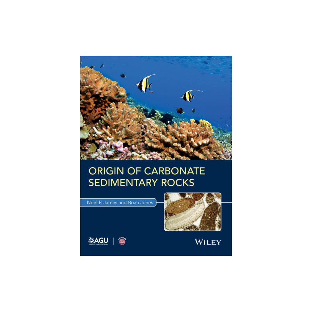 Produktbild för Origin of Carbonate Sedimentary Rocks (häftad, eng)