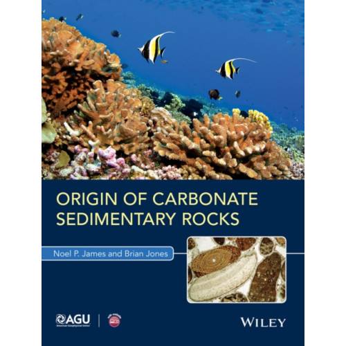 John Wiley & Sons Inc Origin of Carbonate Sedimentary Rocks (häftad, eng)