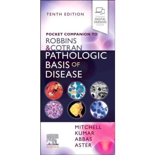 Elsevier - Health Sciences Division Pocket Companion to Robbins & Cotran Pathologic Basis of Disease (häftad, eng)