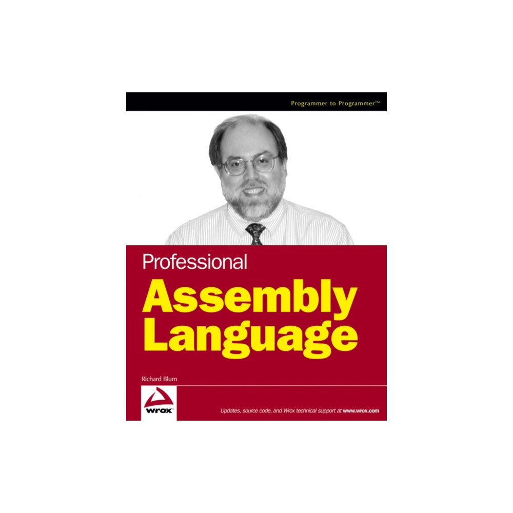 Produktbild för Professional Assembly Language (häftad, eng)