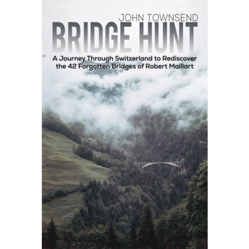 Austin Macauley Publishers Bridge Hunt (häftad, eng)