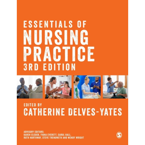 Sage Publications Ltd Essentials of Nursing Practice (häftad, eng)