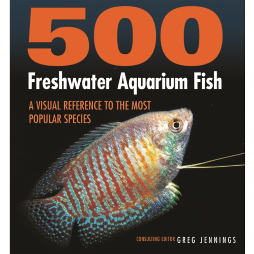 Firefly Books Ltd 500 Freshwater Aquarium Fish (häftad, eng)