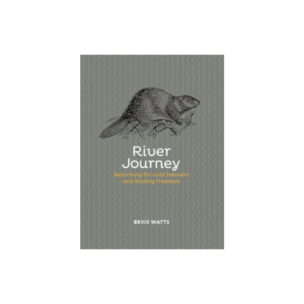 Produktbild för River Journey (inbunden, eng)