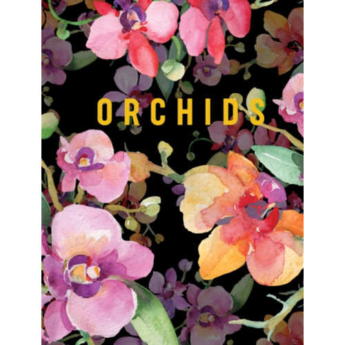 New Holland Publishers Orchids (inbunden, eng)
