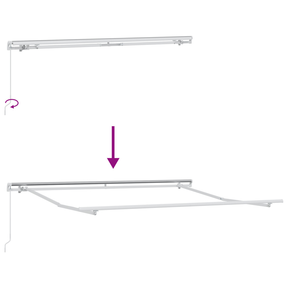 Produktbild för Utdragbar markis Svart 300 x 250 x 165 cm