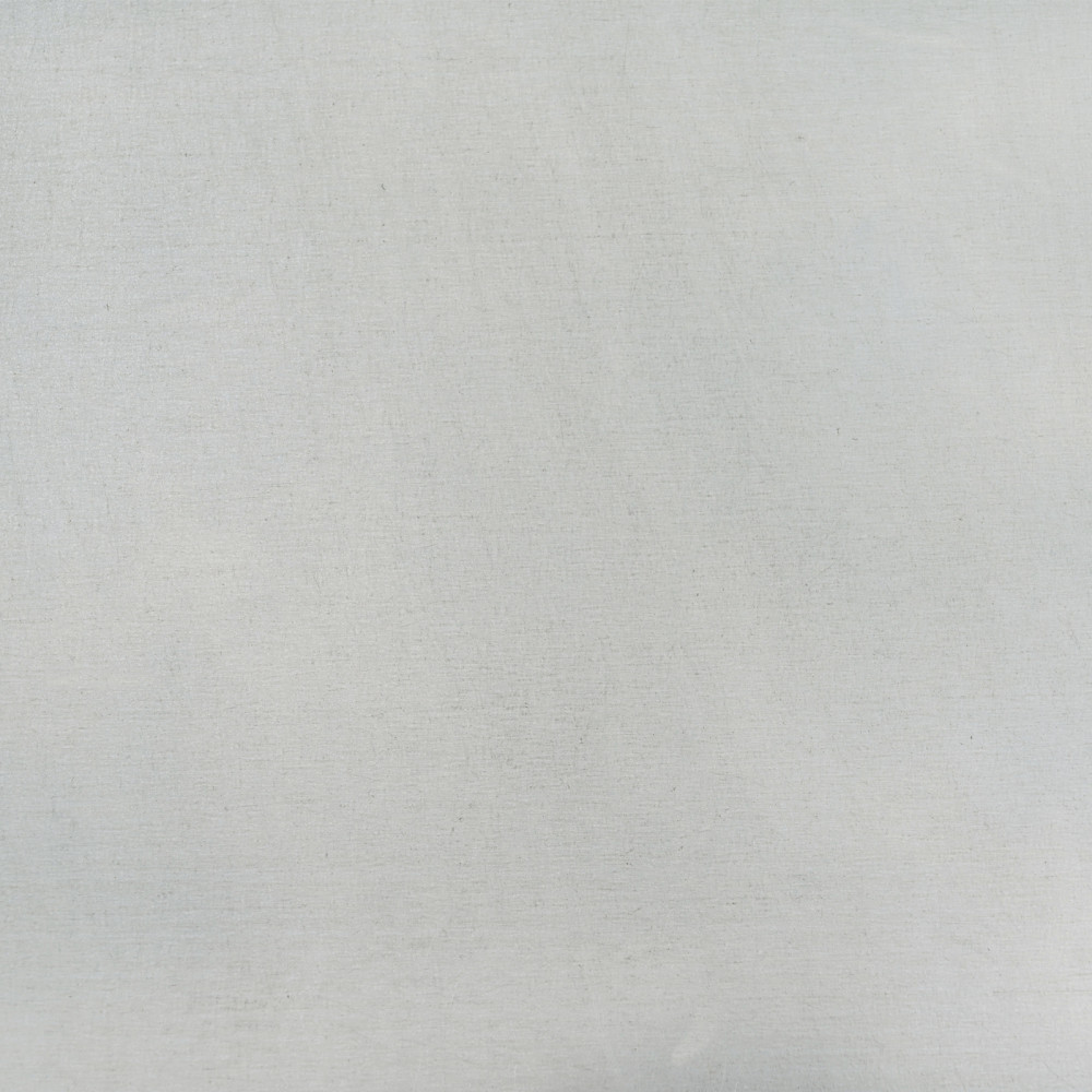 Produktbild för Avskärmningsskärm 100 x 50 x 180 cm Galvaniserat stål Silver