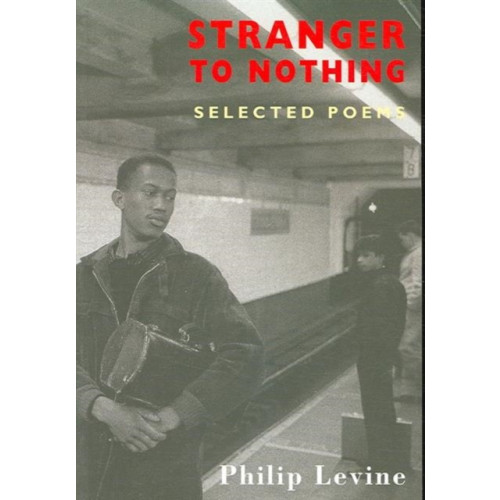 Bloodaxe Books Ltd Stranger to Nothing (häftad, eng)