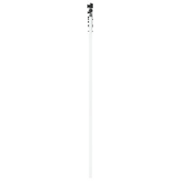Produktbild för Skjutdörr Vit 61 x 198,5 cm Massivt tallträ och glas