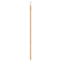 Produktbild för Skjutdörr Naturfärg 93 x 202 cm Massivt tallträ och glas