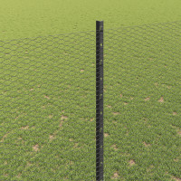 Produktbild för Utomhus hexagonal stängsel med stolpe 50 x 1,5 m Grå Mesh
