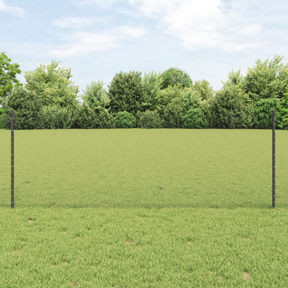Produktbild för Utomhus hexagonal stängsel med stolpe 100 x 0,8 m Grå Mesh