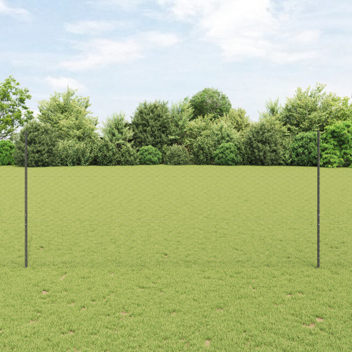 vidaXL Utomhus hexagonal stängsel med stolpe 100 x 1,4 m Grå Mesh
