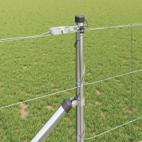 Produktbild för Svetsat trådgalleri med piggar 50 x 1 m Varmförzinkad stål Mesh