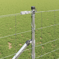 Produktbild för Svetsat trådgalleri med piggar 50 x 1 m Varmförzinkad stål Mesh