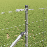 Produktbild för Svetsat trådgalleri med piggar 50 x 1 m Varmförzinkad stål Mesh