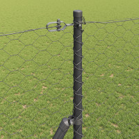 Produktbild för Markfixerat Svetsat Stängsel 10 x 1,6 m (B x H)