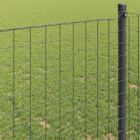 Produktbild för Eurogärdsel Grå 0,6 x 50 m PVC-belagt järn