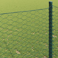 Produktbild för Hexagonstängsel Grön 1,2 x 100 m PVC