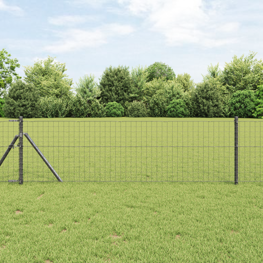 Produktbild för Eurogärdsel Grå 0,8 x 25 m PVC-belagt järn