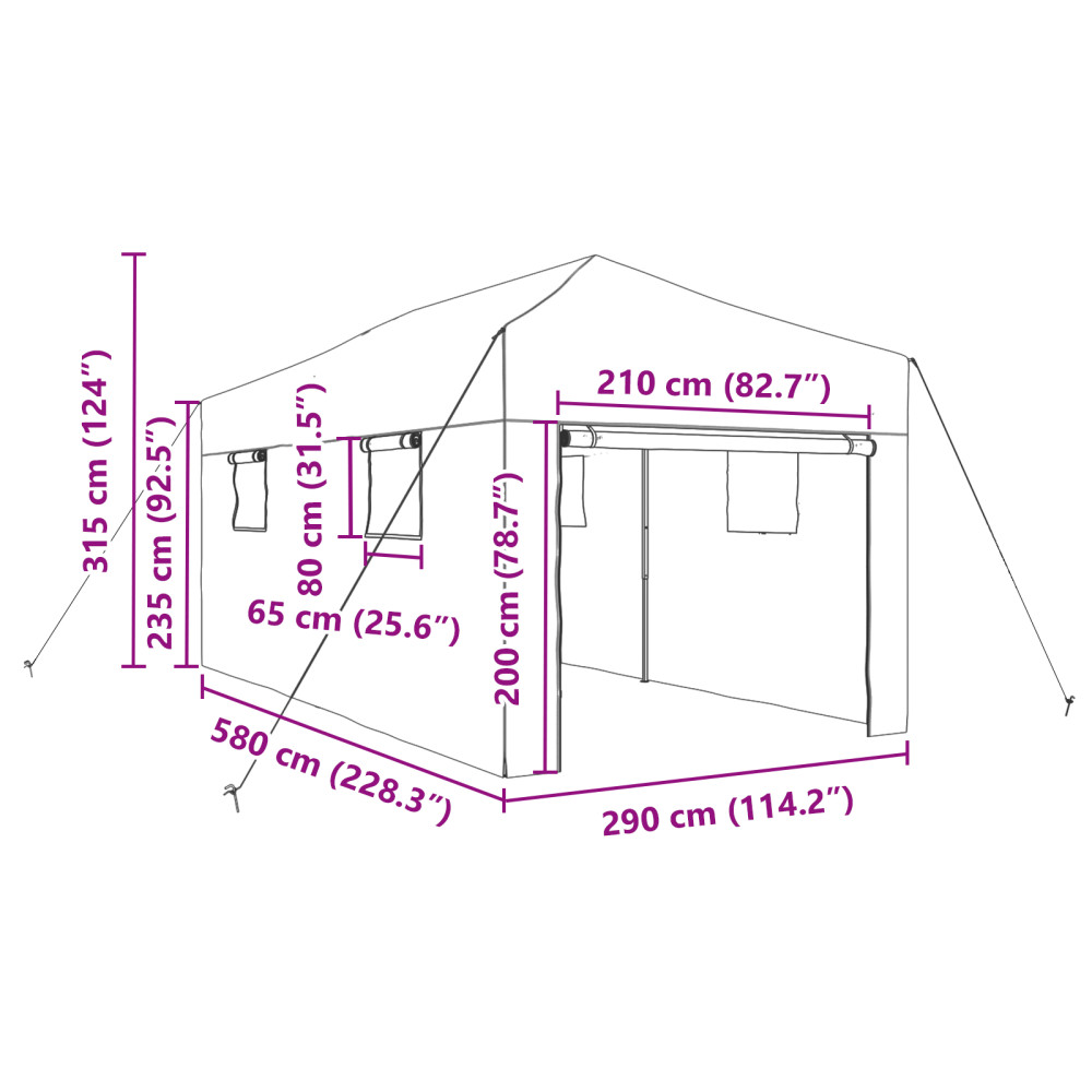 Produktbild för Växthus med Pop-up Ram med tak Grön 290 x 580 x 315 cm Järn