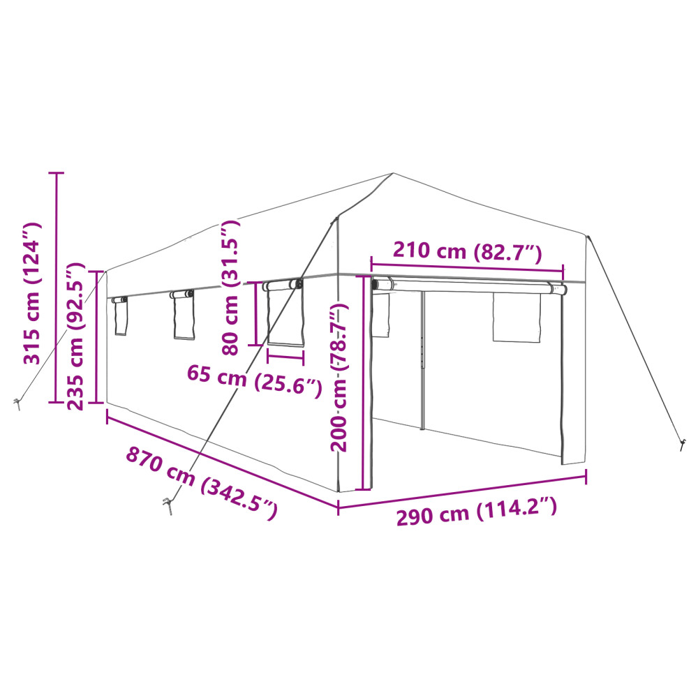Produktbild för Växthus med Pop-up Ram med tak Grön 290 x 870 x 315 cm Järn