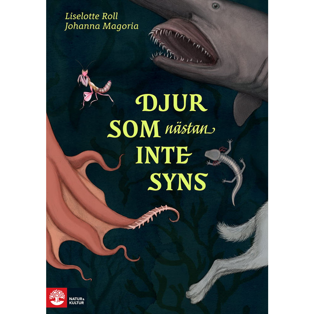 Produktbild för Djur som nästan inte syns (inbunden)