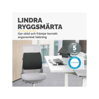 Produktbild för Ryggstöd FELLOWES Breyta Comfort