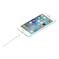 Produktbild för Apple Lightning-kabel - Lightning / USB - 2 m