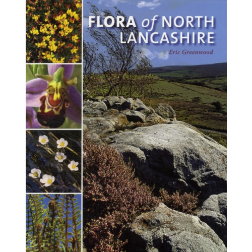 Carnegie Publishing Ltd Flora of North Lancashire (inbunden, eng)
