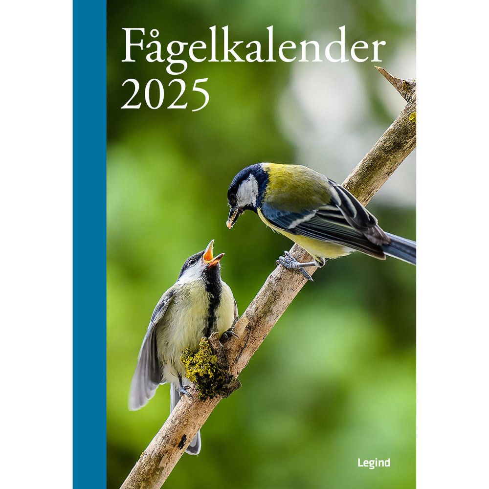 Produktbild för Fågelkalender 2025