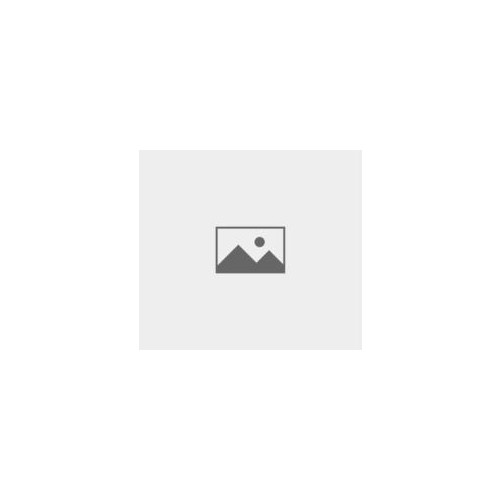 Victoria Beckham VICTORIA BECKHAM VB650S5319003 - Solglasögon Dam (53/19/140)
