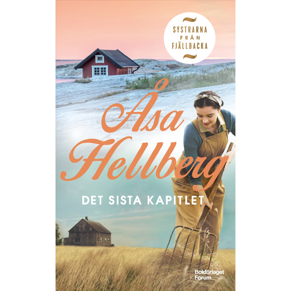 Produktbild för Det sista kapitlet (pocket)