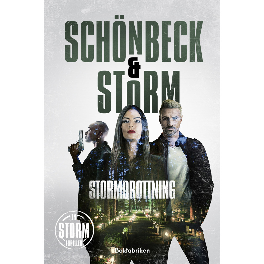 Produktbild för Stormdrottning (pocket)