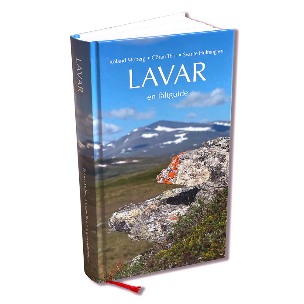Produktbild för Lavar : en fältguide (inbunden)