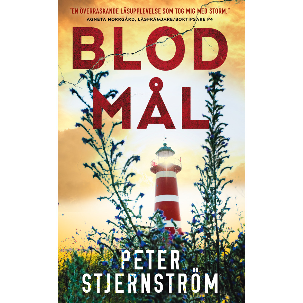 Produktbild för Blodmål (pocket)