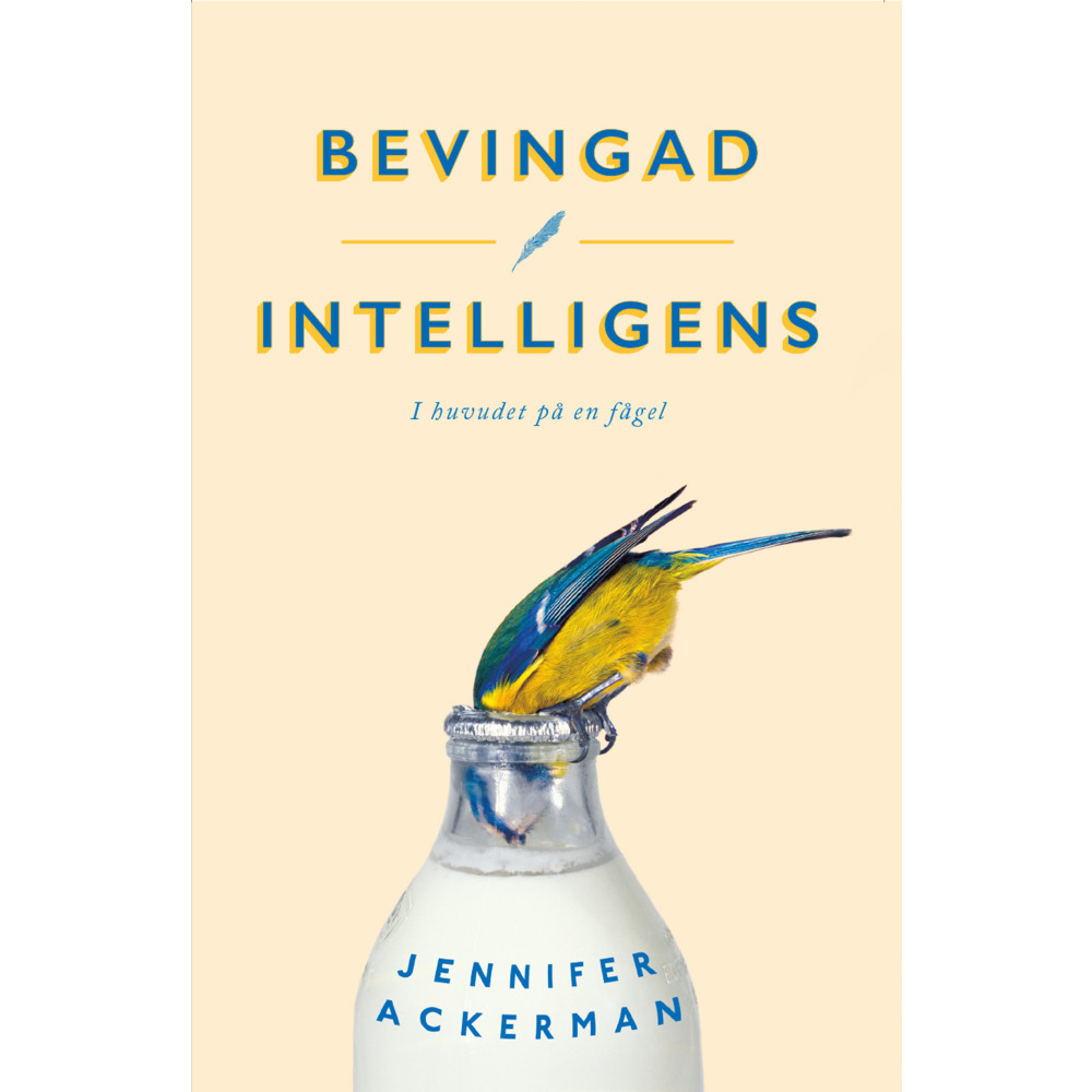 Produktbild för Bevingad intelligens : I huvudet på en fågel (pocket)