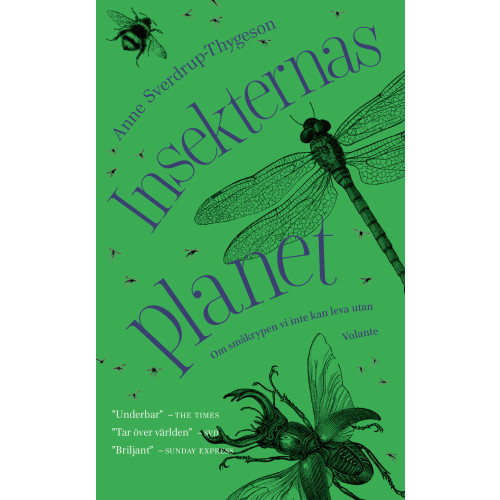 Anne Sverdrup-Thygeson Insekternas planet (pocket)