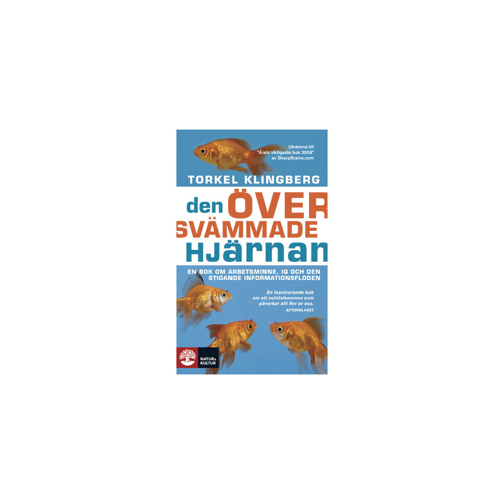 Produktbild för Den översvämmade hjärnan : en bok om arbetsminne, IQ och den stigande informationsfloden (pocket)