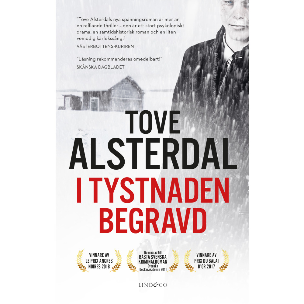 Produktbild för I tystnaden begravd (pocket)